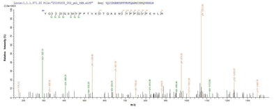 Based on the SEQUEST from database of E.coli host and target protein, the LC-MS/MS Analysis result of this product could indicate that this peptide derived from E.coli-expressed Homo sapiens (Human) PTGS2.Recombinant Human Prostaglandin G/H Synthase 2 (PTGS2) Protein (His)