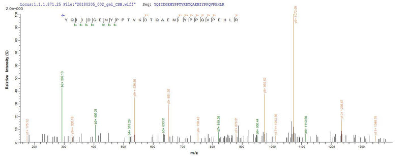 Based on the SEQUEST from database of E.coli host and target protein, the LC-MS/MS Analysis result of this product could indicate that this peptide derived from E.coli-expressed Homo sapiens (Human) PTGS2.Recombinant Human Prostaglandin G/H Synthase 2 (PTGS2) Protein (His)