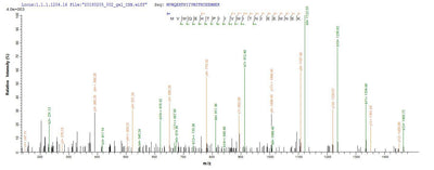 Based on the SEQUEST from database of E.coli host and target protein, the LC-MS/MS Analysis result of this product could indicate that this peptide derived from E.coli-expressed Homo sapiens (Human) PTPN5.Recombinant Human Tyrosine-Protein Phosphatase Non-Receptor Type 5 (PTPN5) Protein (His-SUMO)