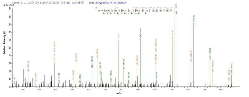 Based on the SEQUEST from database of E.coli host and target protein, the LC-MS/MS Analysis result of this product could indicate that this peptide derived from E.coli-expressed Homo sapiens (Human) PTPN5.Recombinant Human Tyrosine-Protein Phosphatase Non-Receptor Type 5 (PTPN5) Protein (His-SUMO)