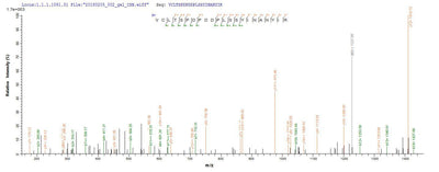 Based on the SEQUEST from database of E.coli host and target protein, the LC-MS/MS Analysis result of this product could indicate that this peptide derived from E.coli-expressed Homo sapiens (Human) PTPN5.Recombinant Human Tyrosine-Protein Phosphatase Non-Receptor Type 5 (PTPN5) Protein (His-SUMO)