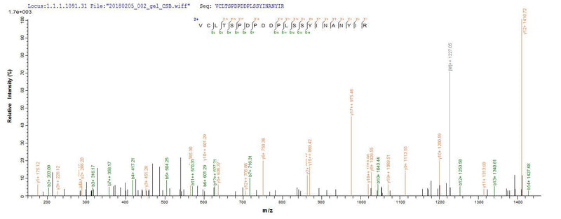 Based on the SEQUEST from database of E.coli host and target protein, the LC-MS/MS Analysis result of this product could indicate that this peptide derived from E.coli-expressed Homo sapiens (Human) PTPN5.Recombinant Human Tyrosine-Protein Phosphatase Non-Receptor Type 5 (PTPN5) Protein (His-SUMO)