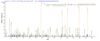 Based on the SEQUEST from database of E.coli host and target protein, the LC-MS/MS Analysis result of this product could indicate that this peptide derived from E.coli-expressed Homo sapiens (Human) QPCT.Recombinant Human Glutaminyl-Peptide Cyclotransferase (QPCT) Protein (His-SUMO)