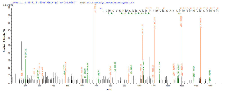 Based on the SEQUEST from database of E.coli host and target protein, the LC-MS/MS Analysis result of this product could indicate that this peptide derived from E.coli-expressed Homo sapiens (Human) QPCT.Recombinant Human Glutaminyl-Peptide Cyclotransferase (QPCT) Protein (His-SUMO)