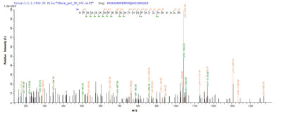 Based on the SEQUEST from database of E.coli host and target protein, the LC-MS/MS Analysis result of this product could indicate that this peptide derived from E.coli-expressed Homo sapiens (Human) QPCT.Recombinant Human Glutaminyl-Peptide Cyclotransferase (QPCT) Protein (His-SUMO)