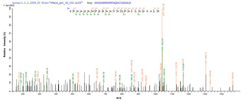 Based on the SEQUEST from database of E.coli host and target protein, the LC-MS/MS Analysis result of this product could indicate that this peptide derived from E.coli-expressed Homo sapiens (Human) QPCT.Recombinant Human Glutaminyl-Peptide Cyclotransferase (QPCT) Protein (His-SUMO)