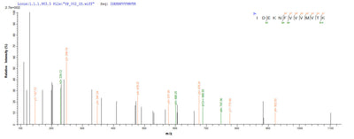 Based on the SEQUEST from database of E.coli host and target protein, the LC-MS/MS Analysis result of this product could indicate that this peptide derived from E.coli-expressed Homo sapiens (Human) RAD23A.Recombinant Human Uv Excision Repair Protein Rad23 Homolog A (RAD23A) Protein (GST)
