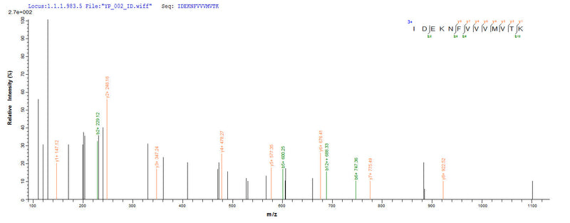 Based on the SEQUEST from database of E.coli host and target protein, the LC-MS/MS Analysis result of this product could indicate that this peptide derived from E.coli-expressed Homo sapiens (Human) RAD23A.Recombinant Human Uv Excision Repair Protein Rad23 Homolog A (RAD23A) Protein (GST)