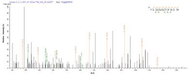 Based on the SEQUEST from database of E.coli host and target protein, the LC-MS/MS Analysis result of this product could indicate that this peptide derived from E.coli-expressed Homo sapiens (Human) RAD23A.Recombinant Human Uv Excision Repair Protein Rad23 Homolog A (RAD23A) Protein (GST)