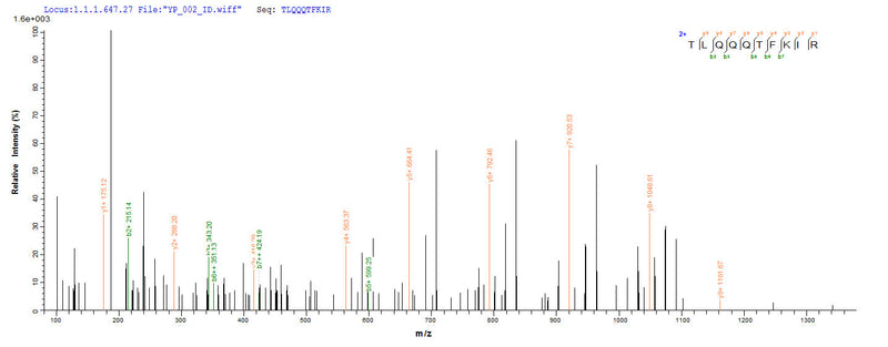 Based on the SEQUEST from database of E.coli host and target protein, the LC-MS/MS Analysis result of this product could indicate that this peptide derived from E.coli-expressed Homo sapiens (Human) RAD23A.Recombinant Human Uv Excision Repair Protein Rad23 Homolog A (RAD23A) Protein (GST)