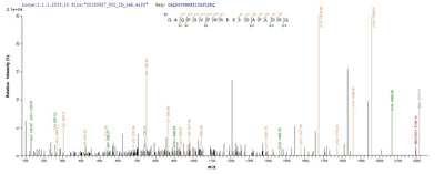 Based on the SEQUEST from database of E.coli host and target protein, the LC-MS/MS Analysis result of this product could indicate that this peptide derived from E.coli-expressed Escherichia coli (strain K12) rbsK.Recombinant E.Coli Ribokinase (RBSK) Protein (His)