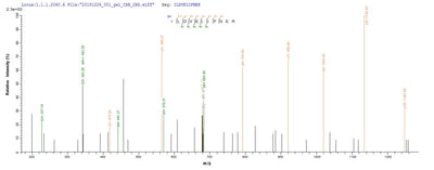 Based on the SEQUEST from database of E.coli host and target protein, the LC-MS/MS Analysis result of this product could indicate that this peptide derived from E.coli-expressed Homo sapiens (Human) RBFOX2.
