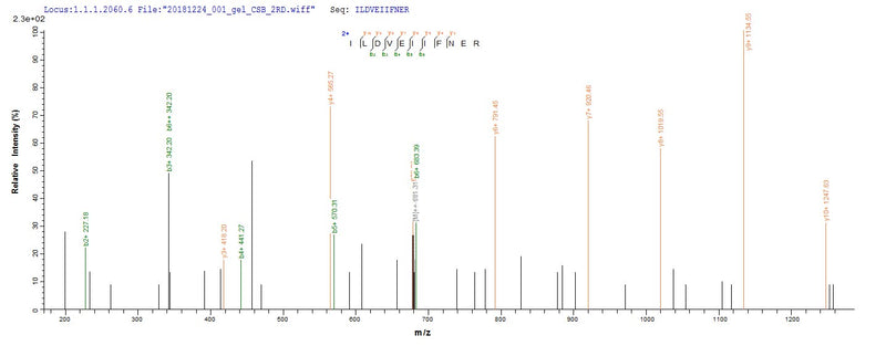Based on the SEQUEST from database of E.coli host and target protein, the LC-MS/MS Analysis result of this product could indicate that this peptide derived from E.coli-expressed Homo sapiens (Human) RBFOX2.