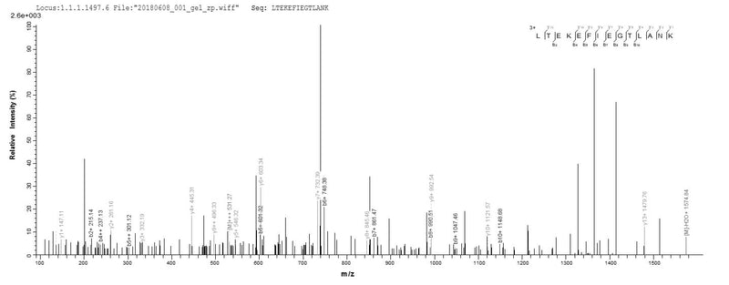 Based on the SEQUEST from database of E.coli host and target protein, the LC-MS/MS Analysis result of this product could indicate that this peptide derived from E.coli-expressed Homo sapiens (Human) RCVRN.Recombinant Human Recoverin (RCVRN) Protein (His)