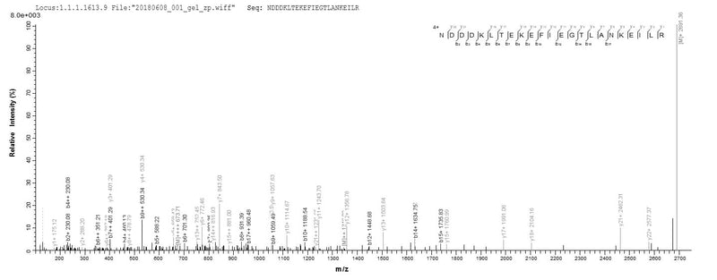 Based on the SEQUEST from database of E.coli host and target protein, the LC-MS/MS Analysis result of this product could indicate that this peptide derived from E.coli-expressed Homo sapiens (Human) RCVRN.Recombinant Human Recoverin (RCVRN) Protein (His)
