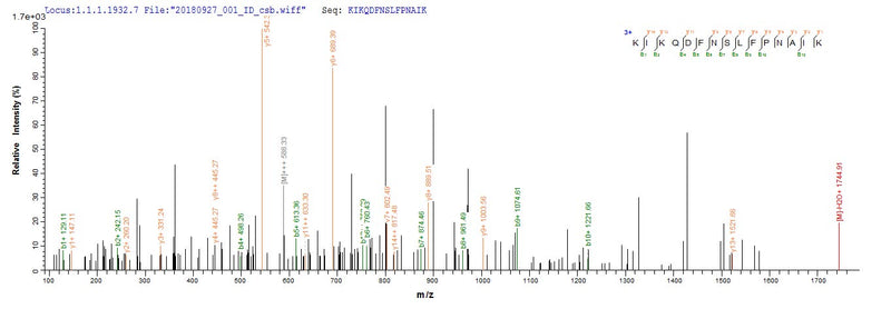 Based on the SEQUEST from database of E.coli host and target protein, the LC-MS/MS Analysis result of this product could indicate that this peptide derived from E.coli-expressed Mus musculus (Mouse) Retn.Recombinant Mouse Resistin (RETN) Protein (His)