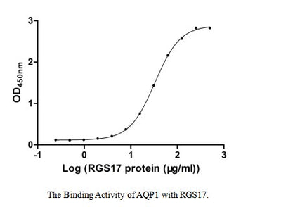 Activity Measured by its binding ability in a functional ELISA. Immobilized AQP1 at 2 μg/ml can bind human RGS17, the EC 50 of human RGS17 protein is 31.63-34.44 μg/ml.Recombinant Human Regulator Of G-Protein Signaling 17 (RGS17) Protein (GST), Active