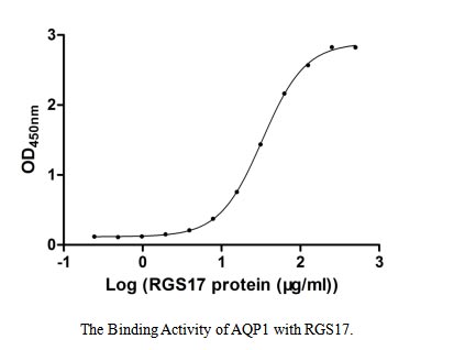 Activity Measured by its binding ability in a functional ELISA. Immobilized AQP1 at 2 μg/ml can bind human RGS17, the EC 50 of human RGS17 protein is 31.63-34.44 μg/ml.Recombinant Human Regulator Of G-Protein Signaling 17 (RGS17) Protein (GST), Active