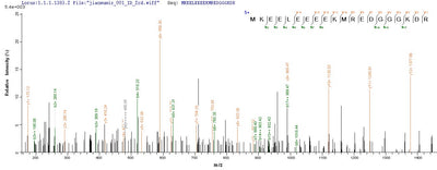 Based on the SEQUEST from database of E.coli host and target protein, the LC-MS/MS Analysis result of this product could indicate that this peptide derived from E.coli-expressed Homo sapiens (Human) RHBDL2.Recombinant Human Rhomboid-Related Protein 2 (RHBDL2) Protein (His)