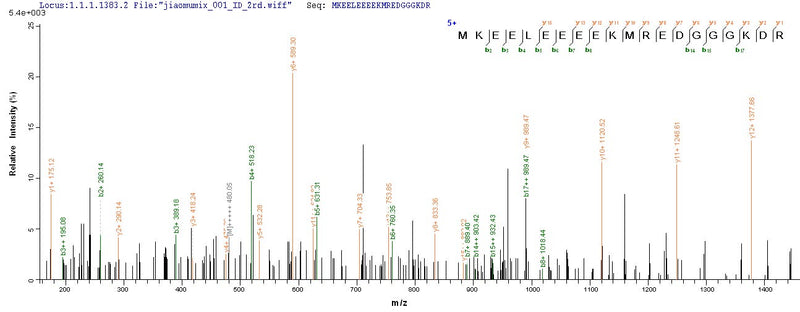 Based on the SEQUEST from database of E.coli host and target protein, the LC-MS/MS Analysis result of this product could indicate that this peptide derived from E.coli-expressed Homo sapiens (Human) RHBDL2.Recombinant Human Rhomboid-Related Protein 2 (RHBDL2) Protein (His)
