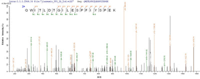 Based on the SEQUEST from database of E.coli host and target protein, the LC-MS/MS Analysis result of this product could indicate that this peptide derived from E.coli-expressed Homo sapiens (Human) RHBDL2.Recombinant Human Rhomboid-Related Protein 2 (RHBDL2) Protein (His)