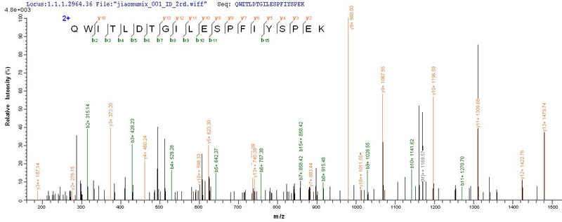 Based on the SEQUEST from database of E.coli host and target protein, the LC-MS/MS Analysis result of this product could indicate that this peptide derived from E.coli-expressed Homo sapiens (Human) RHBDL2.Recombinant Human Rhomboid-Related Protein 2 (RHBDL2) Protein (His)