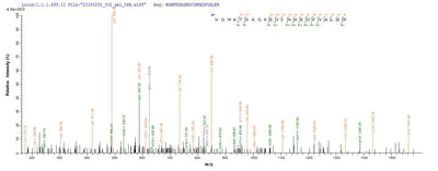 Based on the SEQUEST from database of E.coli host and target protein, the LC-MS/MS Analysis result of this product could indicate that this peptide derived from E.coli-expressed Homo sapiens (Human) RNASEH1.Recombinant Human Ribonuclease H1 (RNASEH1) Protein (His)
