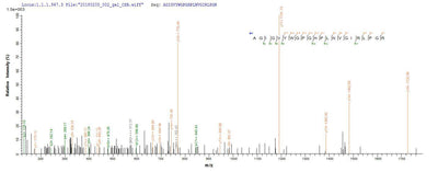 Based on the SEQUEST from database of E.coli host and target protein, the LC-MS/MS Analysis result of this product could indicate that this peptide derived from E.coli-expressed Homo sapiens (Human) RNASEH1.Recombinant Human Ribonuclease H1 (RNASEH1) Protein (His)