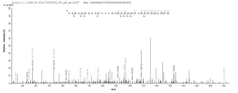 Based on the SEQUEST from database of E.coli host and target protein, the LC-MS/MS Analysis result of this product could indicate that this peptide derived from E.coli-expressed Homo sapiens (Human) RNF7.