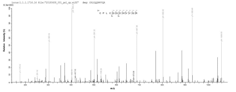 Based on the SEQUEST from database of E.coli host and target protein, the LC-MS/MS Analysis result of this product could indicate that this peptide derived from E.coli-expressed Homo sapiens (Human) RNF7.