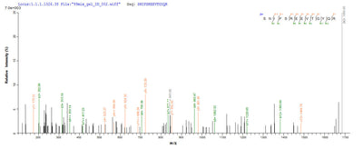 Based on the SEQUEST from database of E.coli host and target protein, the LC-MS/MS Analysis result of this product could indicate that this peptide derived from E.coli-expressed Homo sapiens (Human) RORC.Recombinant Human Nuclear Receptor Ror-Gamma (RORC) Protein (His-SUMO)