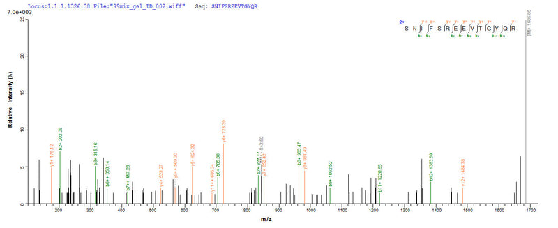 Based on the SEQUEST from database of E.coli host and target protein, the LC-MS/MS Analysis result of this product could indicate that this peptide derived from E.coli-expressed Homo sapiens (Human) RORC.Recombinant Human Nuclear Receptor Ror-Gamma (RORC) Protein (His-SUMO)