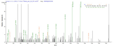 Based on the SEQUEST from database of E.coli host and target protein, the LC-MS/MS Analysis result of this product could indicate that this peptide derived from E.coli-expressed Homo sapiens (Human) RORC.Recombinant Human Nuclear Receptor Ror-Gamma (RORC) Protein (His-SUMO)