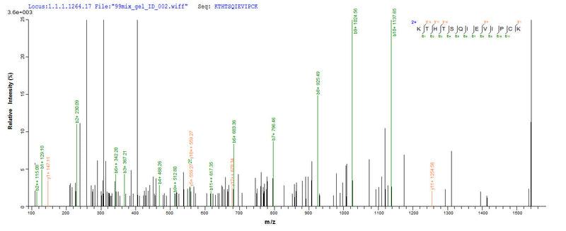 Based on the SEQUEST from database of E.coli host and target protein, the LC-MS/MS Analysis result of this product could indicate that this peptide derived from E.coli-expressed Homo sapiens (Human) RORC.Recombinant Human Nuclear Receptor Ror-Gamma (RORC) Protein (His-SUMO)