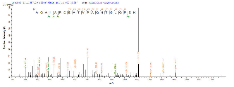 Based on the SEQUEST from database of E.coli host and target protein, the LC-MS/MS Analysis result of this product could indicate that this peptide derived from E.coli-expressed Mus musculus (Mouse) Rplp0.Recombinant Mouse 60S Acidic Ribosomal Protein P0 (RPLP0) Protein (His-SUMO&Myc)