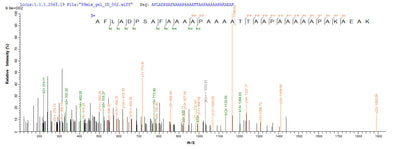 Based on the SEQUEST from database of E.coli host and target protein, the LC-MS/MS Analysis result of this product could indicate that this peptide derived from E.coli-expressed Mus musculus (Mouse) Rplp0.Recombinant Mouse 60S Acidic Ribosomal Protein P0 (RPLP0) Protein (His-SUMO&Myc)
