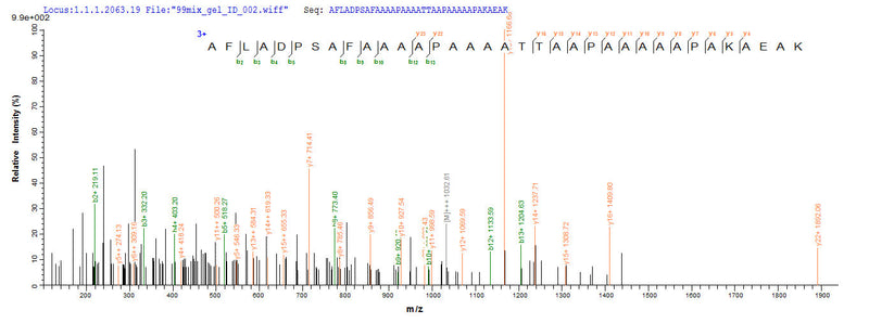 Based on the SEQUEST from database of E.coli host and target protein, the LC-MS/MS Analysis result of this product could indicate that this peptide derived from E.coli-expressed Mus musculus (Mouse) Rplp0.Recombinant Mouse 60S Acidic Ribosomal Protein P0 (RPLP0) Protein (His-SUMO&Myc)