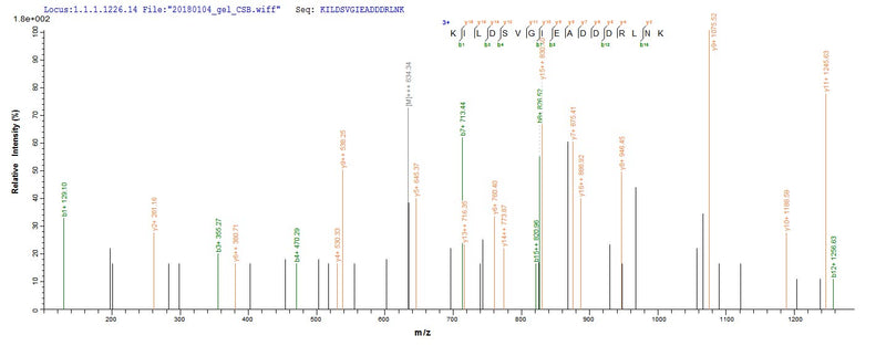 Based on the SEQUEST from database of E.coli host and target protein, the LC-MS/MS Analysis result of this product could indicate that this peptide derived from E.coli-expressed Homo sapiens (Human) RPLP2.