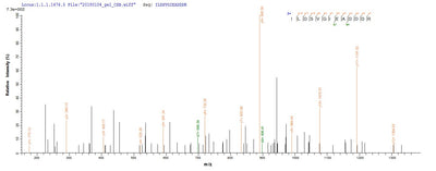 Based on the SEQUEST from database of E.coli host and target protein, the LC-MS/MS Analysis result of this product could indicate that this peptide derived from E.coli-expressed Homo sapiens (Human) RPLP2.