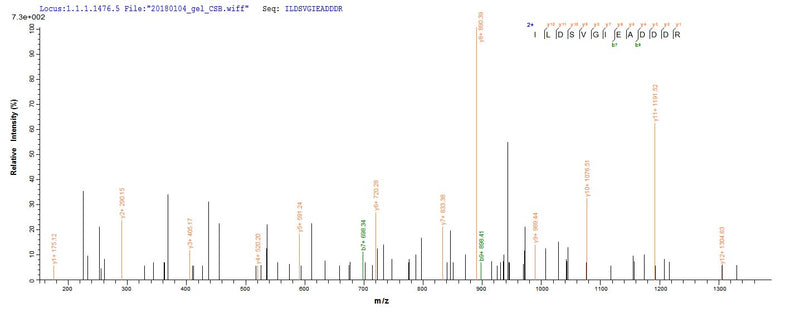 Based on the SEQUEST from database of E.coli host and target protein, the LC-MS/MS Analysis result of this product could indicate that this peptide derived from E.coli-expressed Homo sapiens (Human) RPLP2.