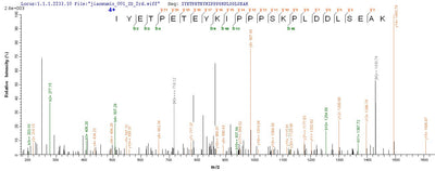 Based on the SEQUEST from database of E.coli host and target protein, the LC-MS/MS Analysis result of this product could indicate that this peptide derived from E.coli-expressed Drosophila melanogaster (Fruit fly) RpS3.