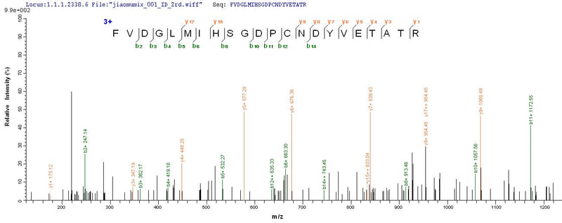 Based on the SEQUEST from database of E.coli host and target protein, the LC-MS/MS Analysis result of this product could indicate that this peptide derived from E.coli-expressed Drosophila melanogaster (Fruit fly) RpS3.