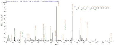 Based on the SEQUEST from database of E.coli host and target protein, the LC-MS/MS Analysis result of this product could indicate that this peptide derived from E.coli-expressed Mus musculus (Mouse) S100a8.Recombinant Mouse Protein S100-A8 (S100A8) Protein (His-SUMO)