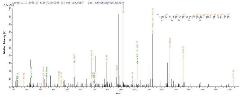 Based on the SEQUEST from database of E.coli host and target protein, the LC-MS/MS Analysis result of this product could indicate that this peptide derived from E.coli-expressed Mus musculus (Mouse) S100a8.Recombinant Mouse Protein S100-A8 (S100A8) Protein (His-SUMO)