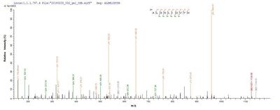 Based on the SEQUEST from database of E.coli host and target protein, the LC-MS/MS Analysis result of this product could indicate that this peptide derived from E.coli-expressed Mus musculus (Mouse) S100a8.Recombinant Mouse Protein S100-A8 (S100A8) Protein (His-SUMO)