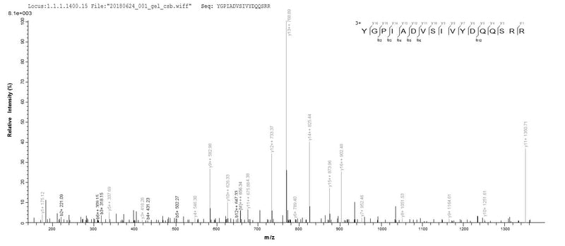 Based on the SEQUEST from database of E.coli host and target protein, the LC-MS/MS Analysis result of this product could indicate that this peptide derived from E.coli-expressed Homo sapiens (Human) TRA2B.Recombinant Human Transformer-2 Protein Homolog Beta (TRA2B) Protein (His-SUMO)