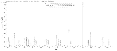 Based on the SEQUEST from database of E.coli host and target protein, the LC-MS/MS Analysis result of this product could indicate that this peptide derived from E.coli-expressed Homo sapiens (Human) TRA2B.Recombinant Human Transformer-2 Protein Homolog Beta (TRA2B) Protein (His-SUMO)