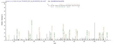 Based on the SEQUEST from database of E.coli host and target protein, the LC-MS/MS Analysis result of this product could indicate that this peptide derived from E.coli-expressed Mus musculus (Mouse) Slc1a2.