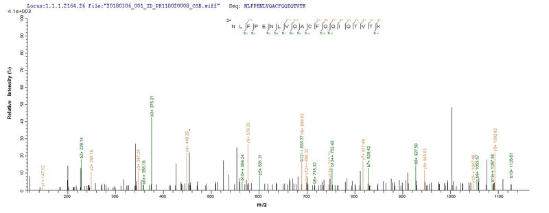 Based on the SEQUEST from database of E.coli host and target protein, the LC-MS/MS Analysis result of this product could indicate that this peptide derived from E.coli-expressed Mus musculus (Mouse) Slc1a2.