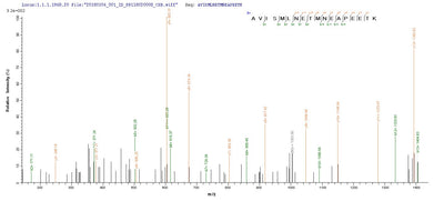 Based on the SEQUEST from database of E.coli host and target protein, the LC-MS/MS Analysis result of this product could indicate that this peptide derived from E.coli-expressed Mus musculus (Mouse) Slc1a2.